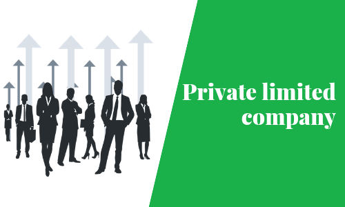 PRIVATE LIMITED COMPANY FORMATION KIT